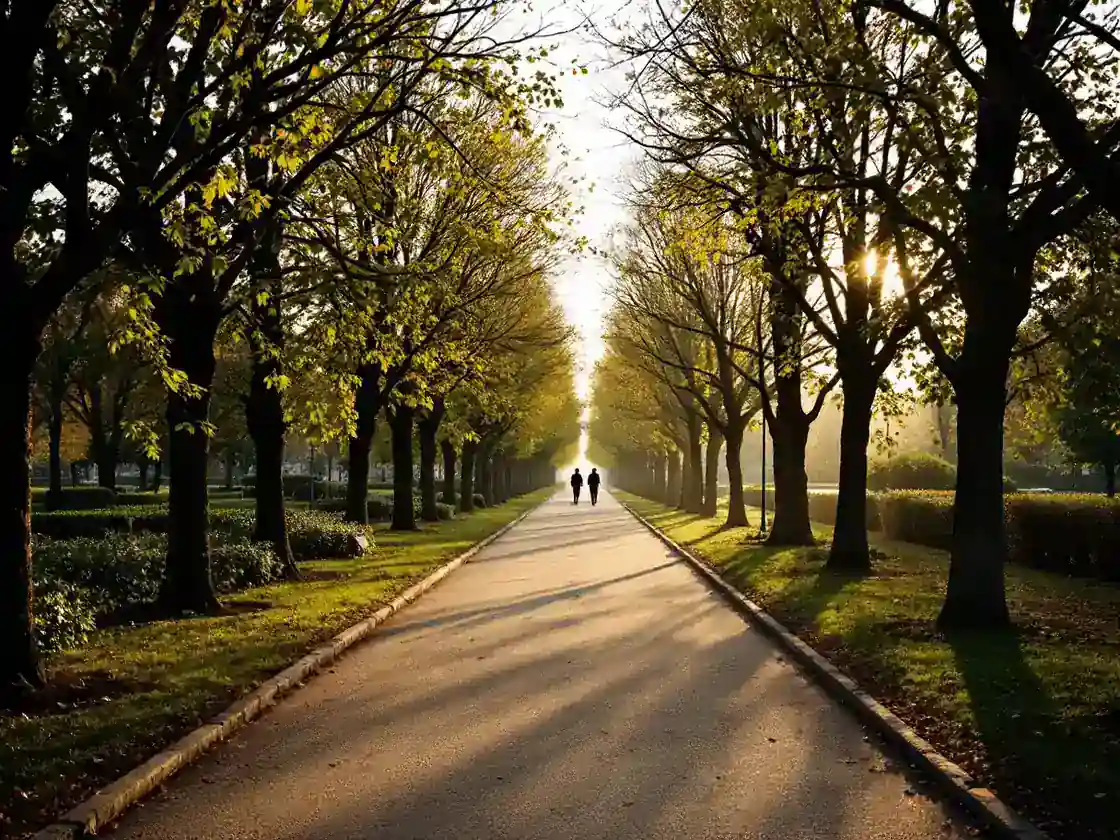 A tree-lined park path in afternoon light